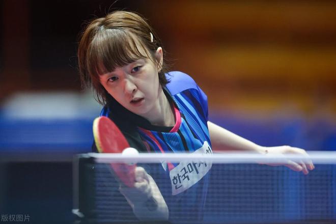 的净盈利 的净盈利