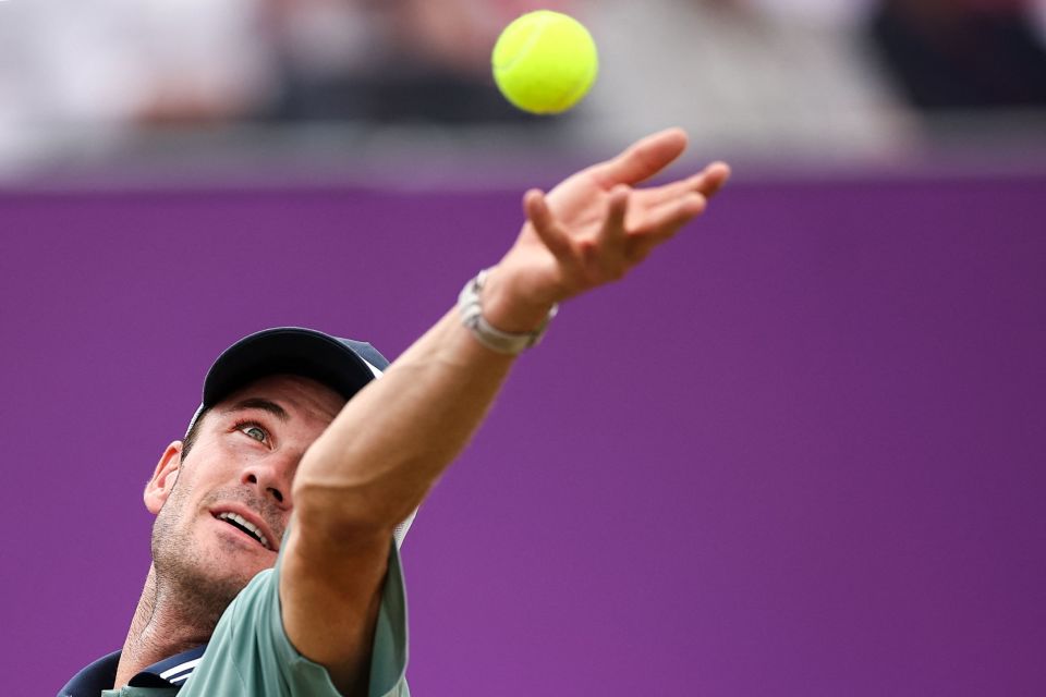 了联盟整体 了联盟整体